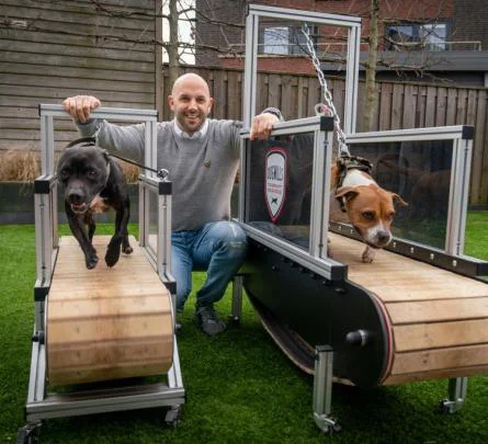 Jorg van Dogmills